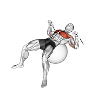 Stability Ball Cable Press