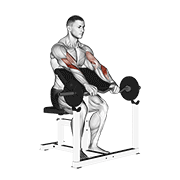 Reverse Grip Barbell Preacher Curl