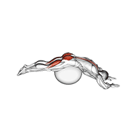 Reverse Hyperextension Stability Ball