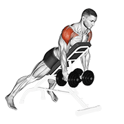 Incline Bench Rear Delt Fly
