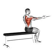 One Arm Seated Row