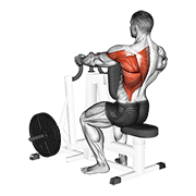Close Grip Seated Row