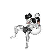 Incline Dumbbell Hammer Press on Stability Ball