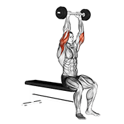 Barbell Triceps Extension