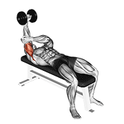 One Arm Lying Dumbbell Triceps Extension