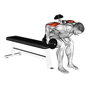 Bent Over Seated Dumbbell Kickback
