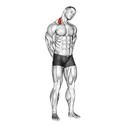 Lateral Neck Stretch