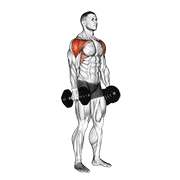 Lateral to Front Raise