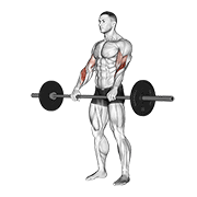 Reverse Barbell Curl