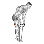 Strap Hamstring Stretch
