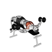 Decline Dumbbell Fly