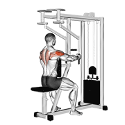 Reverse Fly Machine