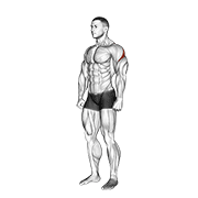 Posterior Deltoid Stretch
