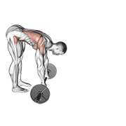 Standing Barbell Rollout