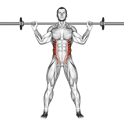Barbell Trunk Rotation