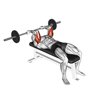 Reverse Grip Skull Crusher