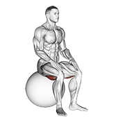 Stability Ball Hamstring Stretch
