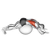 Stability Ball Lower Back Stretch