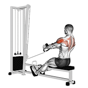 Low Cable Face Pull