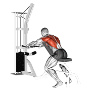 Incline Bench Cable Row