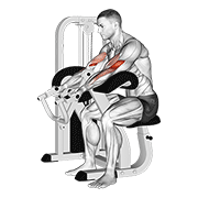Preacher Curl Machine