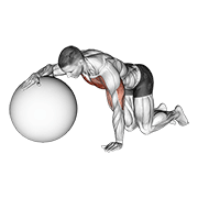 Stability Ball Chest Stretch