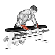Reverse Barbell Wrist Curl