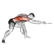 Bent Over One Arm Cable Row with Rotation