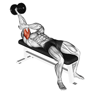 Lying Supinated Triceps Extension