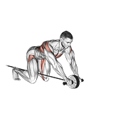 Assisted Ab Wheel