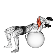 One Arm Stability Ball Triceps Extension