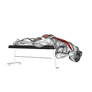 Bench Back Extension